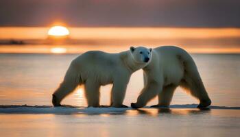 ai generado dos polar osos son caminando en el playa a puesta de sol foto