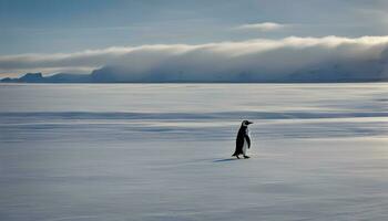 ai generado un pingüino caminando a través de un Nevado campo foto