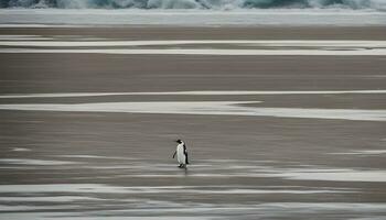 ai generado un pingüino caminando en el playa cerca el Oceano foto