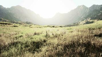 rocky arid mountain landscape with little vegetation and dry grass video