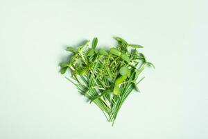 Heart shape made from microgreens top view on green background. Healthy vitamins food love concept. photo