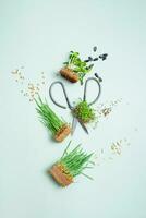 semillas y microverde avena, girasol, alfalfa y trigo con tijeras parte superior vista, plano laico foto