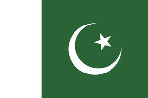 Pakistán bandera nacional emblema gráfico elemento ilustración vector