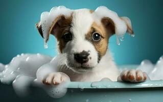 AI generated Adorable and Heartwarming Dog Taking Bath photo