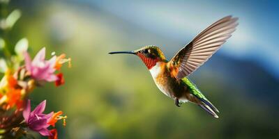 ai generado un colibrí volador terminado un flor foto