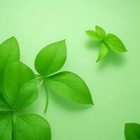 AI generated Green Leaves with Soft Background for Design Purpose photo