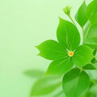 AI generated Green Leaves with Soft Background for Design Purpose photo