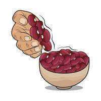 illustration of red bean vector