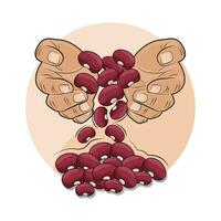 illustration of red beans vector