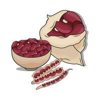 illustration of red bean vector