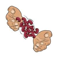 illustration of red bean vector