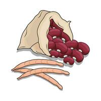 ilustración de riñón rojo frijoles en saco vector