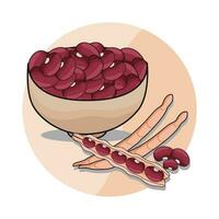 illustration of red bean vector