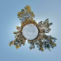 pequeño planeta de invierno en un bosque cubierto de nieve en el cielo azul. transformación de panorama esférico 360 grados. vista aérea abstracta esférica en el bosque. curvatura del espacio. foto