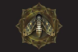 Gold lotus mandala on The death's head moth in dark gold colors. Sacred Geometry. Night mystical butterfly with a skull. Luxury vector of Acherontia winged insect isolated on black background