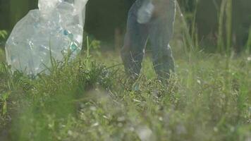 bambino ragazza raccolta plastica su verde prato. video