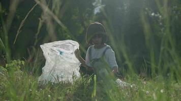 Child girl collecting plastic on green lawn. video