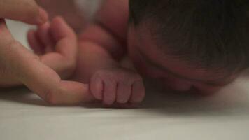 Close Up of Newborn Baby Playing With Mother's Hand. video