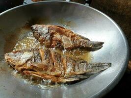 Closeup of Thai tradition and local food Fried tilapia with salt frying on Chinese pan. photo