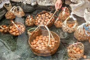 una canasta de huevos para turistas que se hierven en agua caliente mineral y natural en el parque nacional chae son, lampang, tailandia. foto