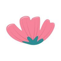 flower nature illustration vector