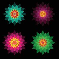 colorful flower mandala design set vector