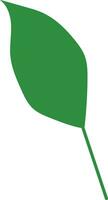 Montsera leaf logo icon vector element