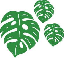 Montsera leaf logo icon vector element