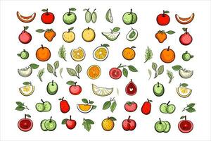 Vegetable food and fruits vector,food vector,fresh food vector, vector