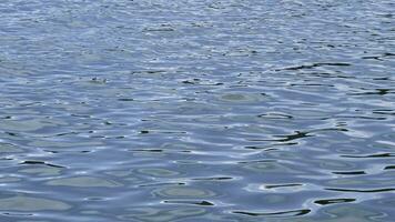 Close-up of beautiful ripples on blue water. Concept. Blue ripples on surface of sea water. Reflection of blue colors of sky on surface of water ripples photo