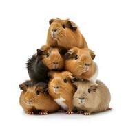 AI generated Group of guinea pigs photo