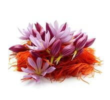 AI generated Ripe saffron flowers on a white background photo