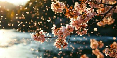 AI Generated Sakura blossoms against the background of the river. Hanami. AI generation. photo