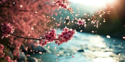 AI Generated Sakura blossoms against the background of the river. Hanami. AI generation. photo