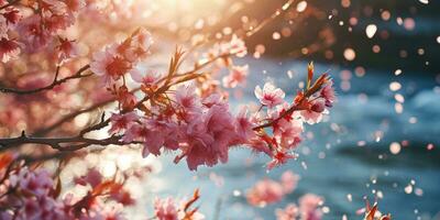 AI Generated Sakura blossoms against the background of the river. Hanami. AI generation. photo