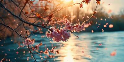 AI Generated Sakura blossoms against the background of the river. Hanami. AI generation. photo