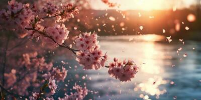 AI Generated Sakura blossoms against the background of the river. Hanami. AI generation. photo