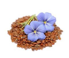 AI generated Flax seed flowers closeup on white backgrounds photo