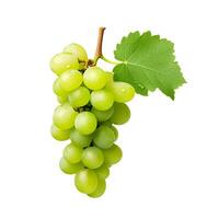 Sweet grapes with leaves photo