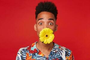 retrato de sorprendido joven africano americano chico, usa en hawaiano camisa, mira a el cámara con sorprendido expresión, participación un flor en sus boca, soportes terminado rojo antecedentes. foto
