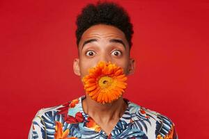 Close up of shocked young dark skinned man in Hawaiian shirt, looks at the camera with wondered expression, holding a flower in its mouth, stands over red background. photo