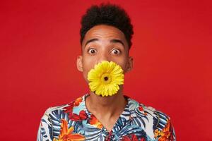 Close up of shocked young dark skinned guy, wears in Hawaiian shirt, looks at the camera with surprised expression, holding a flower in its mouth, stands over red background. photo
