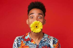 Close up of shocked young dark skinned guy, wears in Hawaiian shirt, looks at the camera with surprised expression, holding a flower in its mouth, stands over red background. photo