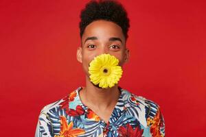 retrato de positivo joven africano americano chico, usa en hawaiano camisa, mira a el cámara con contento expresión, participación un flor en sus boca, soportes terminado rojo antecedentes. foto