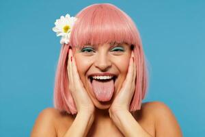 Funny shot of cheerful young lovely pink haired woman with trendy haircut holding her face with raised palms while posing over blue background, fooling and showing tongue at camera photo