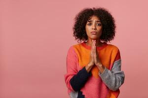 Desperate brown-eyed young curly dark skinned brunette woman folding raised hands in praying gesture and frowning eyesbrows while posing over pink background in multi-colored woolen sweater photo