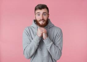 retrato de joven atractivo rojo barbado hombre en gris sudadera, mira a el cámara, cruzar palmas y preguntando para algo, esperanza para bueno suerte. soportes terminado rosado antecedentes. foto