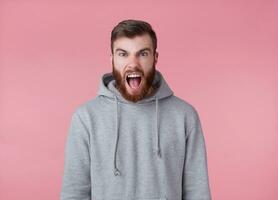 Young handsome evil red bearded man in gray hoodie, looks aggressive and shocked, stands over pink background and screaming. photo