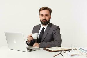 retrato de joven barbado morena masculino con corto Corte de pelo mirando a cámara con calma cara mientras trabajando con su ordenador portátil y cuaderno terminado blanco fondo, teniendo taza de té foto