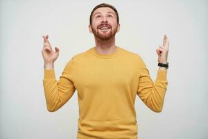 Cheerful young pretty brown haired bearded male with short haircut raising hands with crossed fingers and looking happily upwards, wearing mustard sweater over white background photo